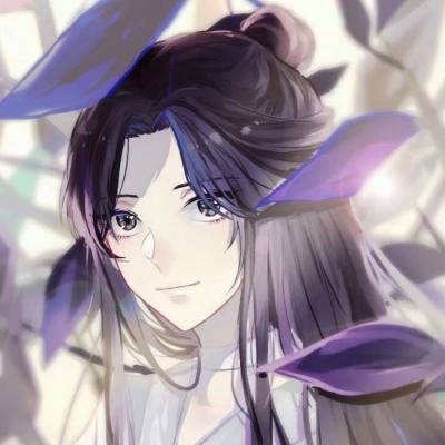 普京访华安排已敲定